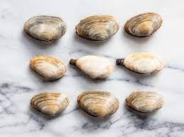 Maybe you would like to learn more about one of these? A Guide To Clam Types And What To Do With Them