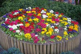• membandingkan banyaknya bunga antar pot satu dengan yang lain. Bunga Untuk Tempat Tidur Bunga Dekorasi Tempat Tidur Bunga