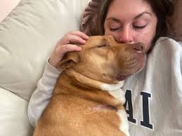 Grateful for pet adoption experience