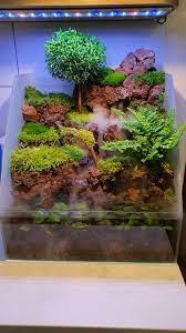 Typically, an aquatic part passes into a land area. Diy Aqua Terrarium Vivarium With Waterfall Mist Aquascape Design Aquarium Garden Aqua Terrarium