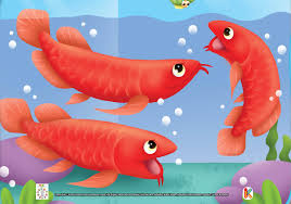 Maybe you would like to learn more about one of these? Gambar Ikan Berwarna Merah Gambar Ikan Hd