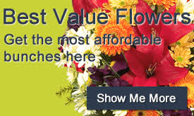 Maybe you would like to learn more about one of these? Flowers From 40 Flowers Online Australia Au Aud En