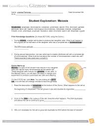 The video (file) shared on this page is submitted by a user. Meiosis Gizmo Pdf Bio Studocu