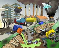 صور عن البيئه النظيفه Yahoo Image Search Results Composicao De Imagem Atividade Sobre Meio Ambiente Problemas Ambientais
