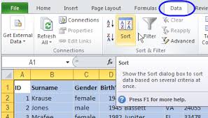 Excel Sorting Data Basics Excel Excel Formula Column
