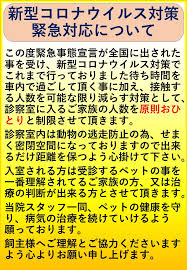 地震 阿蘇 リスクレベル なりわい 新型コロナ 時短 動画. æ–°åž‹ã‚³ãƒ­ãƒŠã‚¦ã‚¤ãƒ«ã‚¹å¯¾ç­– ç·Šæ€¥å¯¾å¿œã«ã¤ã„ã¦ ç—‡ä¾‹ç´¹ä»‹ ãŸã‹ãŸå‹•ç‰©ç—…é™¢ ç†Šæœ¬çœŒç†Šæœ¬å¸‚æ±åŒºå°¾ãƒŽä¸Šã®å‹•ç‰©ç—…é™¢