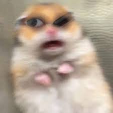 1.Karen (wake up) at 7 in the morning. A. Karen wake ups at 7 in the  morning. B. Karen wake up at 7 in