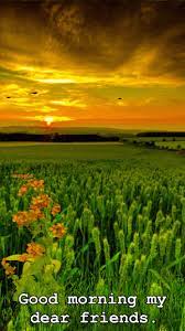 Download Beautiful Good Morning In Nature Gif Png Gif Base Good Morning Gif Images Rainy Good Morning Good Morning Images
