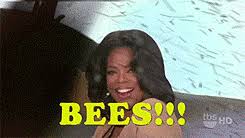 Explore and share the best oprah bees gifs and most popular animated gifs here on giphy. Best Oprah Bees Gifs Gfycat
