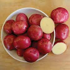 We have recipes and dinner ideas from more than 100 cuisines, plus how to articles, video tutorials and blogs. Dark Red Norland Potato Seed Territorial Seed Company