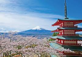 Mt Fuji And Sakura Arakurayama Sengen Park Cherry Blossom Festival Matcha Japan Travel Web Magazine