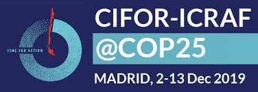 Αποτέλεσμα εικόνας για COP25