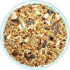 Buy Petra Bird Food for Budgies Mix Seeds (1KG) Online at Low Prices in  India