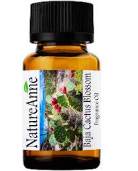 Indeterminate tomatoes grow longer vines and produce more flavorful fruit all season long. Amazon Com Baja Cactus Blossom Premium Grade Fragrance Oil 10ml Scented Oil For Diffuser Oils Making Soap Candles Lotion Home Scents Linen Spray Lotion Perfume Beard Oil Beauty