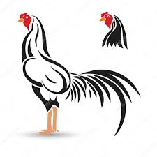 Pelea De Gallos Vectores Graficos Imagenes Vectoriales Depositphotos