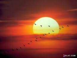صور غروب الشمس 2019 احلى صور لغروب الشمس غروب الشمس 2019 صور 2019 للغروب sunrise wallpaper good morning images special good morning