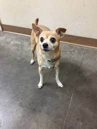 This business listing is provided by Plaza Pet Clinic Home Facebook