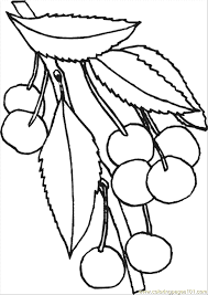 Cherry blossom tree line art. Cherry Blossom Coloring Pages Coloring Home