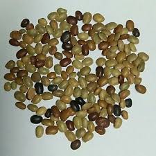 Image result for Macrotyloma africanum