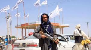 With taliban militants roaming kabul's presidential palace with impunity, the group has declared victory in. 3j4j8y6 09kpcm