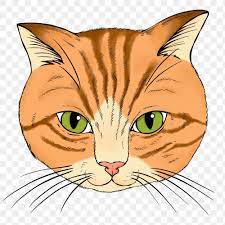 Hand Drawn Orange Cat Design Element Free Image By Rawpixel Com Noon Cat Face Drawing Orange Cat Cat Design
