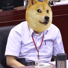 Want to see more posts tagged #doge gif? Doge Gifs Tenor