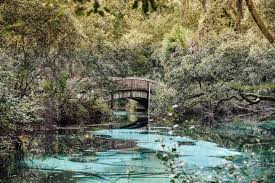 Jun 16, 2020 · 8 of the best natural swimming spots in central florida. The 6 Natural Best Springs In Florida Stunning Springs You Cannot Miss Couple Travel The World