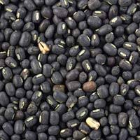Image result for Wholesale Bengal gram Suppliers
