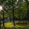 Check spelling or type a new query. Pa Dutch Country Rv Resort Manheim Pa Foto S Reviews En Prijsvergelijking Tripadvisor