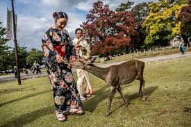 Jelajah taman rusa sekupang, tempat wisata di batam yang tawarkan spot instagramable. Taman Nara Destinasi Populer Di Jepang Untuk Bermain Bersama Rusa