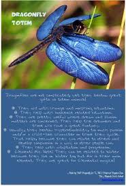 Black And Blue Dragonfly Meaning Dragonfly Totem Animal Totem Spirit Guides Spirit Animal Totem Animal Spirit Guides