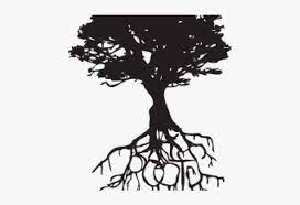Big tree with roots for your design. Oak Tree Silhouette With Roots Png Image Transparent Png Free Download On Seekpng