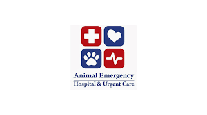 We also provide wellness vet care for pets who do not have a primary care veterinarian. Animal Emergency Hospital Urgent Care Shop Local Raleigh