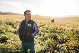 great untapped carbon sink