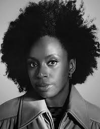 The Danger of the Single Story