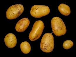 Image result for Solanum tuberosum