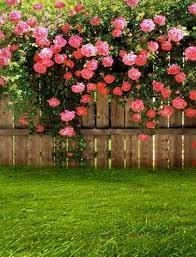 Maybe you would like to learn more about one of these? Background Props Studio Vinyl Photo Rose Garden Scenery Backdrop Photography Spray Painted Digital Printing Backgrounds Props Backdrop Photography Scenery Backdropsprinted Background Aliexpress