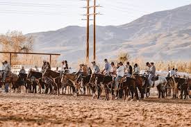 Profil untuk Fillmore Roping Club