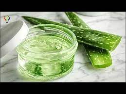 Aloe Vera Jeli Nasil Cikartilir Aloe Vera Kremi Nasil Yapilir Youtube Aloe Cilt Bakimi Jelsa