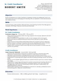We are hiring a wealth manager now. Credit Coordinator Resume Samples Qwikresume