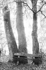 Informations de compte oubliées ? Bank Sw Falk Flickr