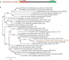 If there is a question regarding. The Human Gut Microbe Bacteroides Thetaiotaomicron Encodes The Founding Member Of A Novel Glycosaminoglycan Degrading Polysaccharide Lyase Family Pl29 Journal Of Biological Chemistry
