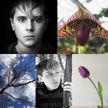 How To Use Instagram's Layout App For iPhone Photo Collages