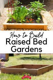 Pin On Gardening