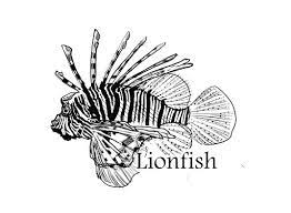 Apr 18, 2020 · when people get a tattoo, there is often meaning and remembrance attached to the tattoo. Lionfish Tattoo Tattoo Shop In Lansing