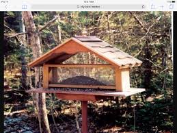 Bird Feeder For Large Birds Pin By Debbie Worters Robertson On How To Attract Birds To Your Yard Large Bird Feeders Bird Feeders Diy Bird Feeder