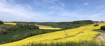 Météo : une semaine douce, mais parfois instable