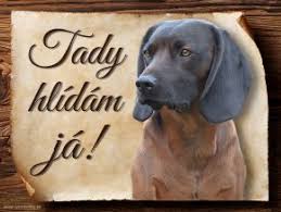 Image result for anglický barvář