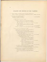 Image result for Eriosema jurionianum