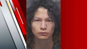 Traffic stop leads to arrest of former NISD employee